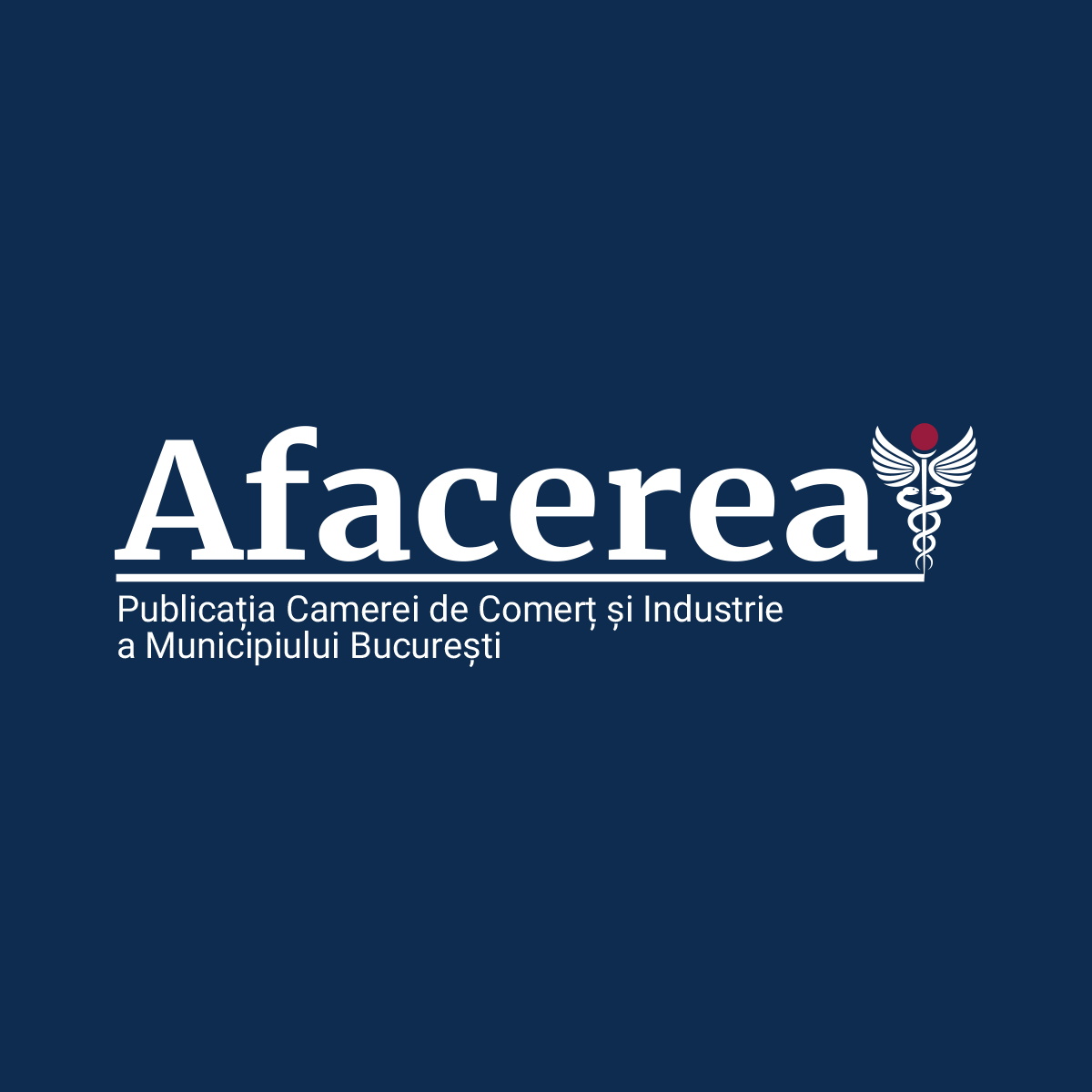 CCIB Afacerea
